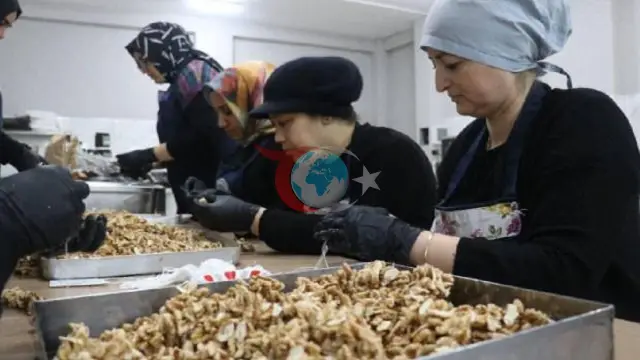 KOSGEB, 53 Bin KOBİ'ye Destek Sağlayacak