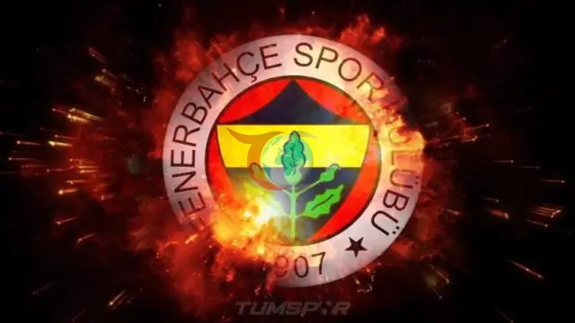Fenerbahçe'nin Yıldız Oyuncusu Milli Takım Kampında Sakatlandı