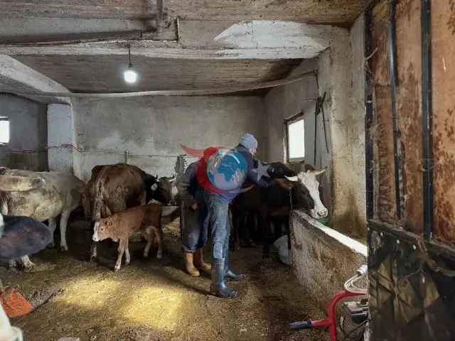 Aydıntepe'de 2026 Bahar Şap Aşılaması Başarıyla Tamamlandı