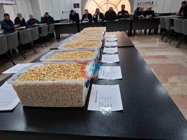 TİGEM, 13.5 Bin Ton Mısırı GTB'de Başarıyla Sattı