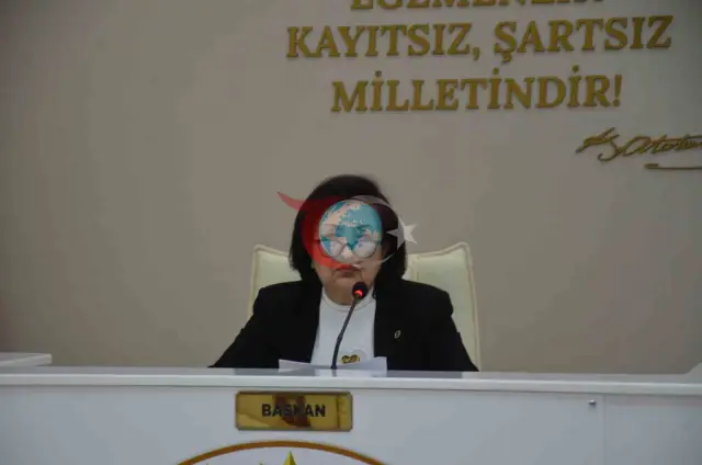 CHP'li Meclis Üyesi Nevin Tan Komisyon Görevlerinden Ayrıldı