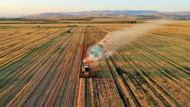 ABD-İran Gerginliği Fiyatları Yükseltti: Bakanlıktan Üreticiye Tam Destek