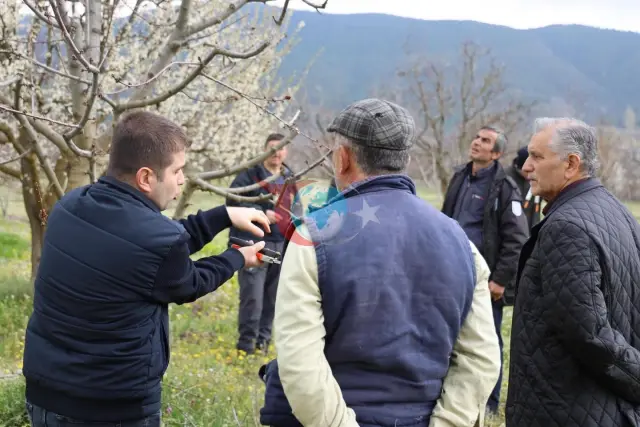 Bilecik'te Çiftçiler için Gübreleme ve Budama Eğitimi