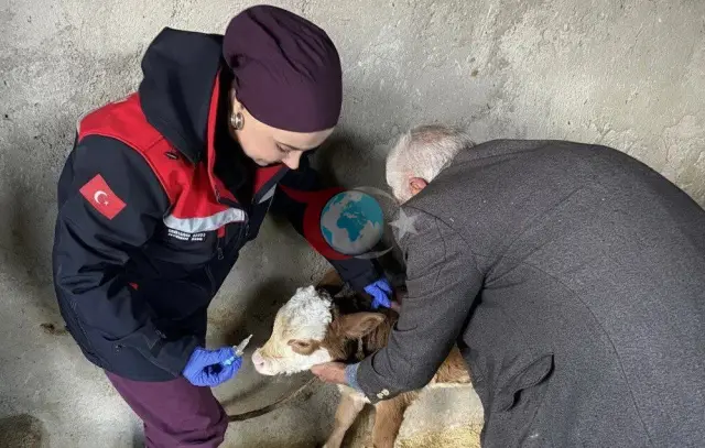 Zoonoz Hastalıklarla Mücadelede Aşılama Hamlesi Devam Ediyor