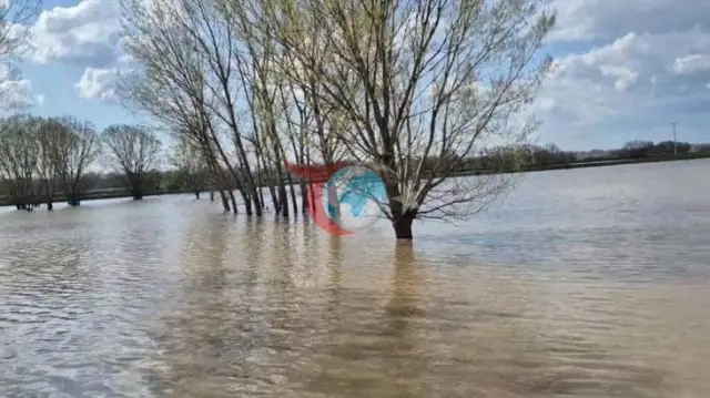 Edirne'de Yoğun Yağış: Meriç Nehri Taştı, Yollar Sular Altında