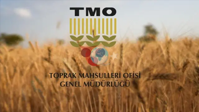 TMO, Yunanistan'dan Pirinç Satışı Yaptığı İddialarını Yalanladı