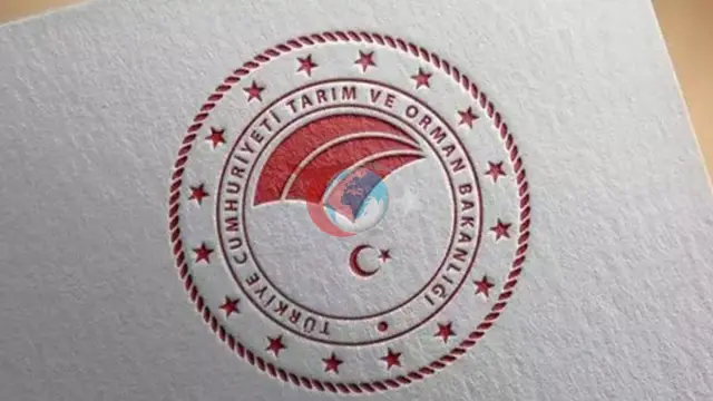 Tarım ve Orman Bakanlığı: Kıvırcık Marulların Koyunlara Verilmesi İddiası Asılsız