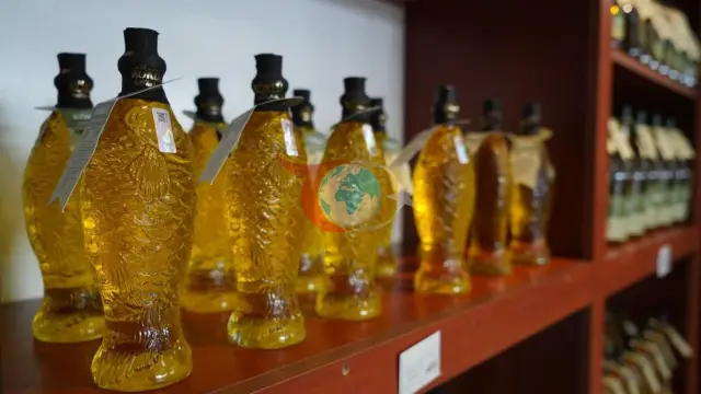 Zeytinyağı Fiyatlarında Maliyet Artışına Rağmen İstikrar Bekleniyor