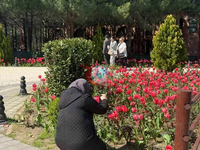 İstanbul'da Lale Mevsimi Başladı: Pendik Korusu'nda Renkli Görüntüler