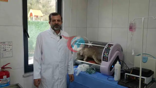Gürsu Butik Hayvanat Bahçesi Yeni Konuklarını Tanıtıyor