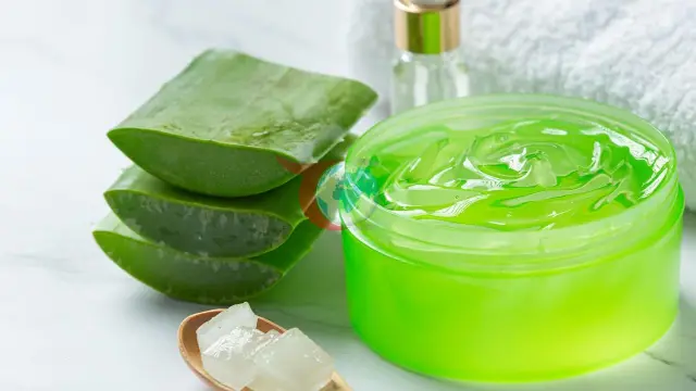 Aloe Vera Jeli: Doğal Güneş Koruyucu