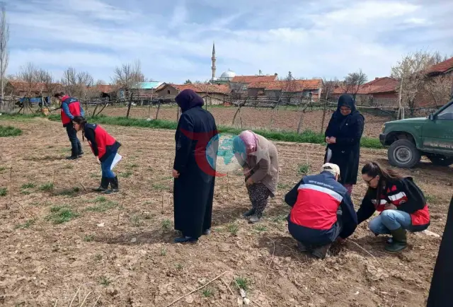 Aslanapa'da Çiftçilere Eğitim ve Saha Çalışmaları Yapıldı