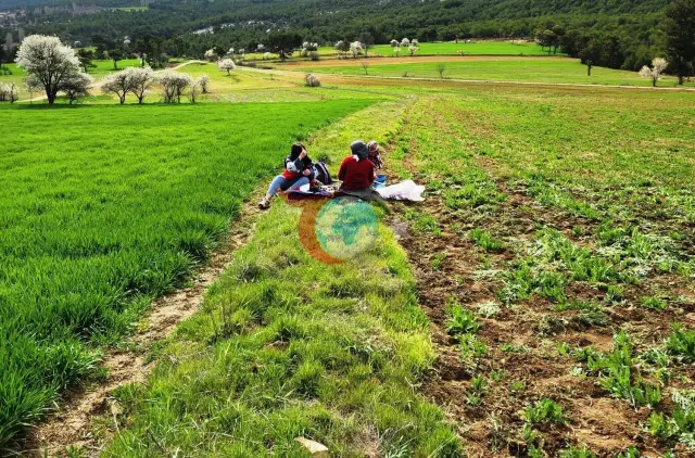 Hisarcık'ta Tarımsal Gelişmeler İçin Saha İncelemeleri Yapıldı