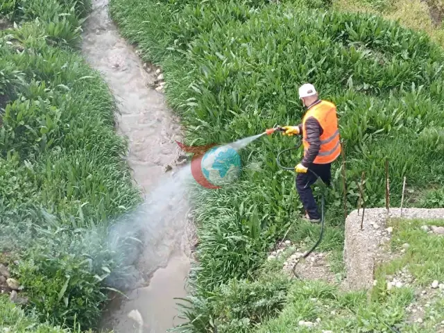 Kahta Belediyesi Haşere Sorununa Karşı Yoğun Önlem Alıyor