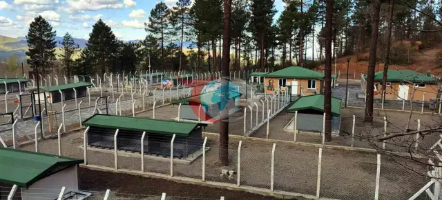 Ünye'de Sokak Hayvanları İçin Örnek Tesis Tamamlanıyor