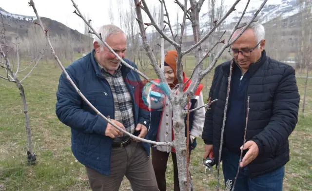 Bayburt'ta Çiftçilere Meyve Ağaçları Eğitimi