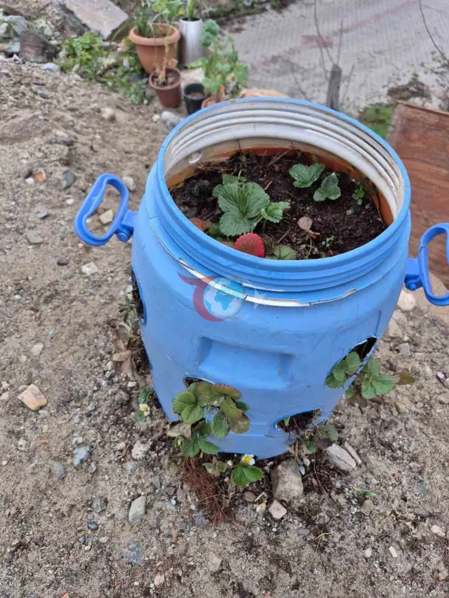 Buldanlı Çiftçiler Atıklarla Tarımda Fark Yaratıyor