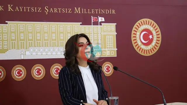 DEM Parti'li Koçyiğit: Sürecin Geciktirilmesine Karşıyız
