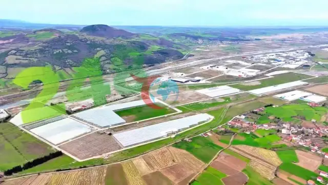 Bafra'da Tarımda Yeni Çağ: Karadeniz'den Yükselen Başarı