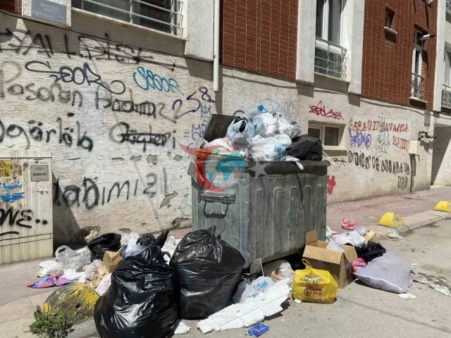 Eskişehir'de Çöp Sorunu: Yetersiz Konteynırlar Sebebiyle Sokaklar Kirlendi
