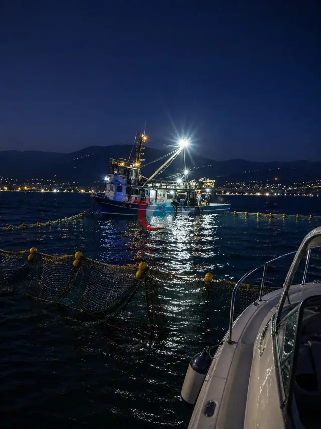 Gemlik Körfezi'nde Sardalya Sezonu Start Aldı