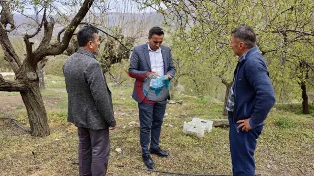 Akçadağ Belediye Başkanı Ulutaş, Dolu Mağduru Çiftçileri Ziyaret Etti