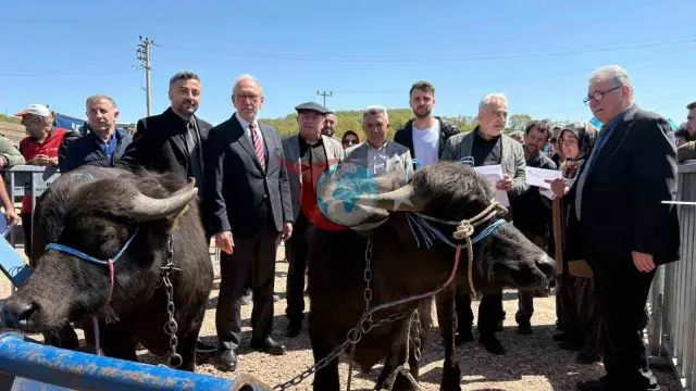 Kocaeli'de Manda Yetiştiricilerine 3,4 Milyon TL Destek Sağlandı