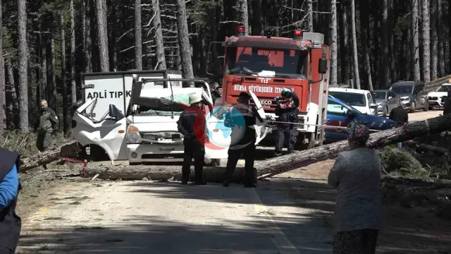 Uludağ'da Şok Olay: Kesilen Ağaç Kamyonetin Üzerine Devrildi, 1 Kişi Hayatını Kaybetti