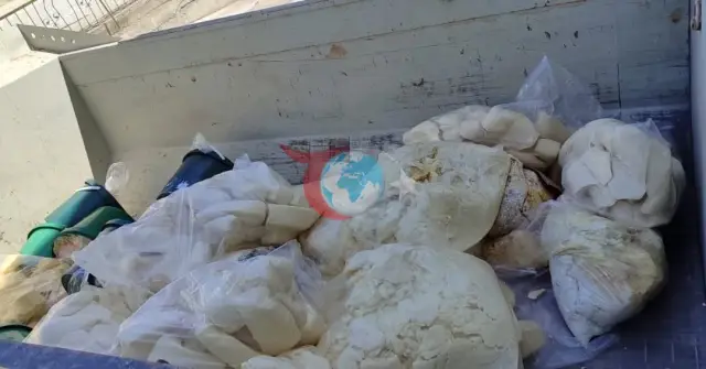 Aydın’da Mevzuata Aykırı 11 Ton Süt Ürünü Yok Edildi