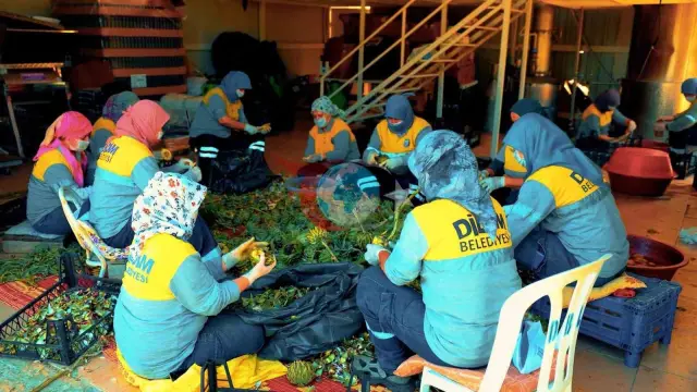 Didim Belediyesi’nin Doğal Ürünleri Vatandaşlarla Buluşuyor