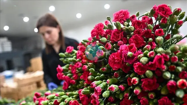 Bakanlardan Anneler Günü'ne Özel Mesajlar: Şehit Anneleri Unutulmadı