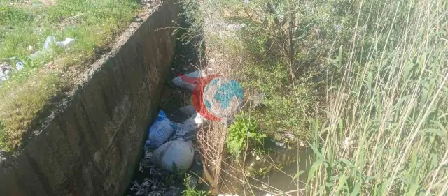 Gölbaşı'nda Halk Sağlığı İçin Acil İlaçlama Talebi