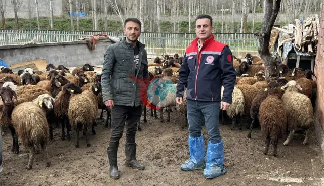 Aydıntepe'de Kırsal Kalkınma İçin 'Sürü' Projesi Devam Ediyor