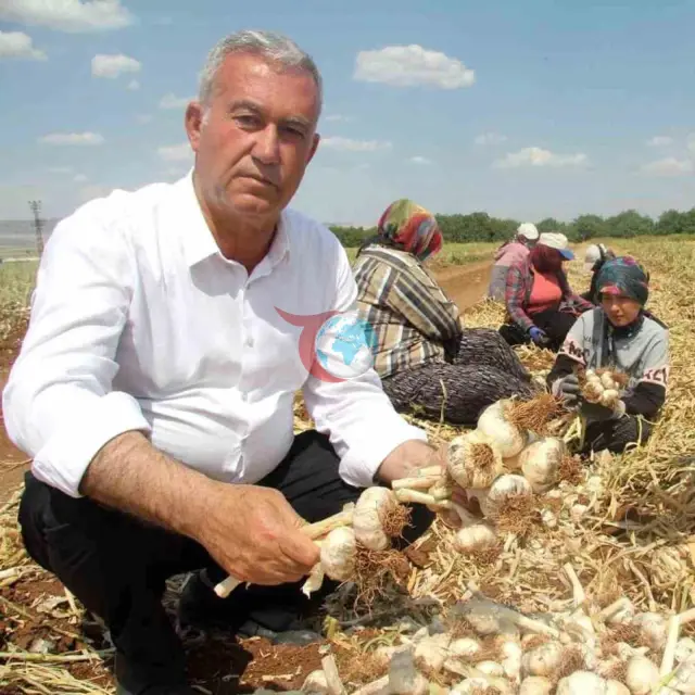 Hasan Altun'dan Dünya Çiftçiler Günü'ne Özel Mesaj