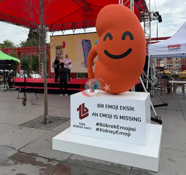 Dijital Evrene Türkiye'den Çağrı: Böbrek Emojisi İstiyoruz