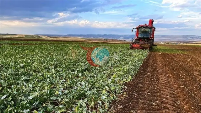 Bakan Yumaklı: Üreticilere 374,7 Milyon Liralık Destek