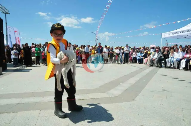 Çanakkale'de Minik Çobanlar Yetişiyor: Unutulmaz Bir Yarışma