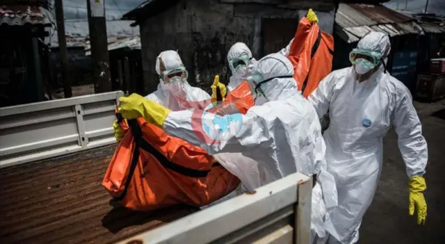Ebola Tehlikesi: DSÖ Acil Durum İlan Etti, Vaka Sayıları Artıyor