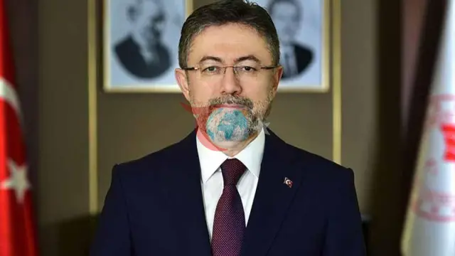 Türkiye, Arıcılıkta Avrupa Lideri: Bal Üretiminde Zirvede