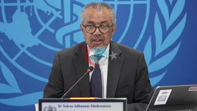 DSÖ: Ebola Salgını Bölgesel Risk Taşıyor, Küresel Tehdit Düşük