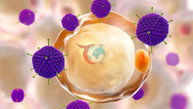 Nadir Ebola Türü Yayılıyor: DSÖ Acil Toplantı Düzenliyor