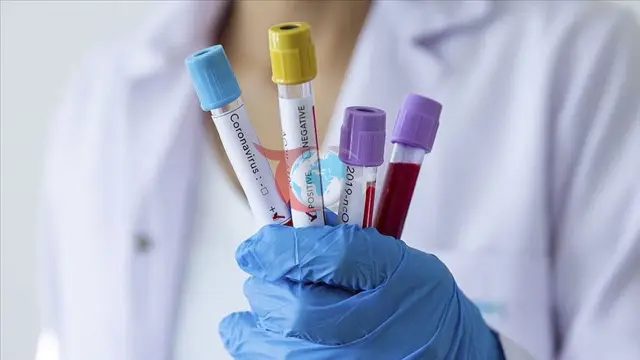 DSÖ'nün Ebola Salgını için Yeni Risk Değerlendirmesi