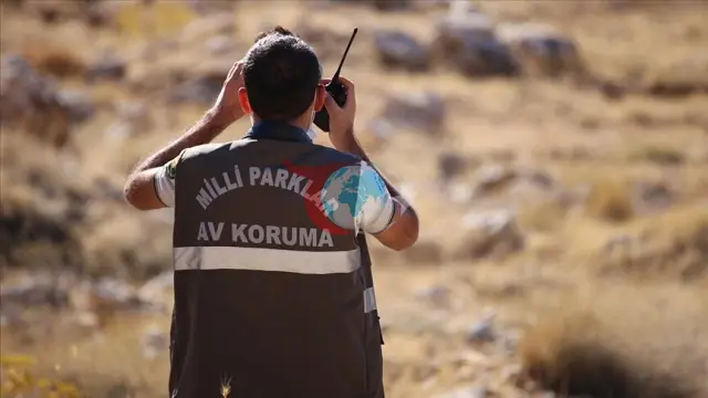Təbiəti Mühafizə və Milli Parklar Yeni Kadrlar Alacaq