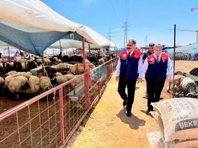 Qurban Bayramı öncəsi Mersində İntensiv Yoxlama Prosesi Başladı