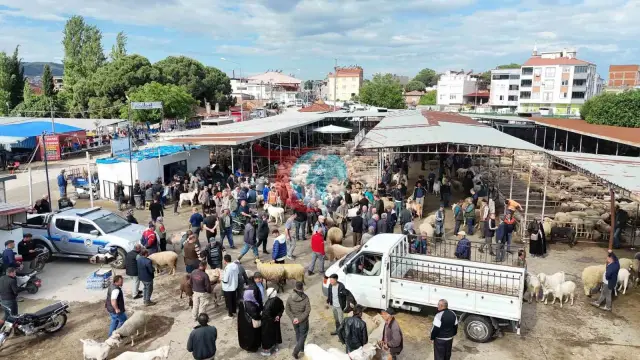 Havran Hayvan Pazarı'nda Bayram Yoğunluğu Zirveye Ulaştı