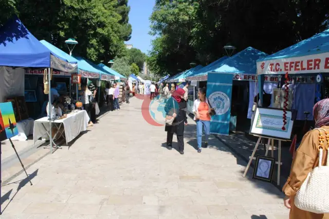 Aydında Həyat Boyu Öyrənmə Festivalı coşğu ilə başladı