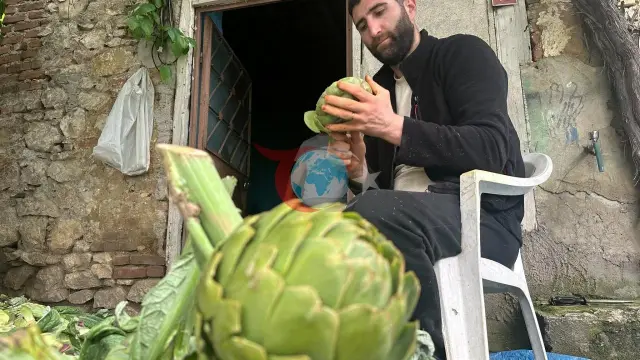 Bursa'da Enginar Soyarak Aylık 240 Bin Lira Kazanç Fırsatı