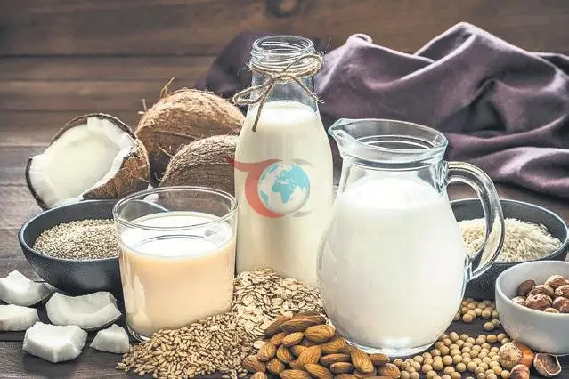 En İyi Bitkisel Süt Alternatifleri: Lezzet ve Besin Değeri