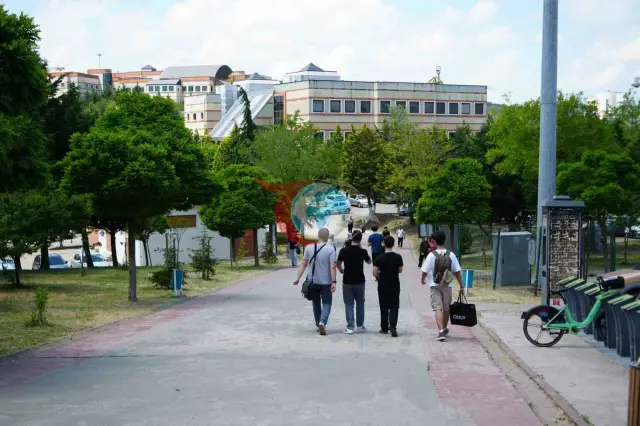 Kojaeli universitetida adashgan it muammosi davom etmoqda
