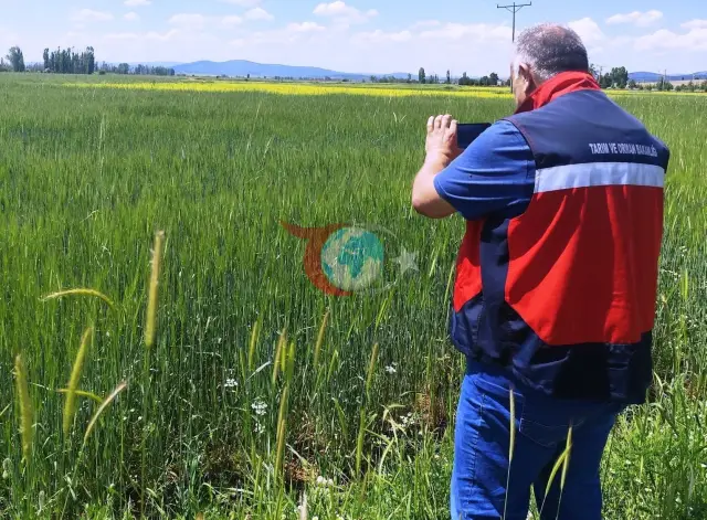 Çavdarhisar'da Tarımsal İzleme İçin Referans Parsel Çalışmaları Sürüyor